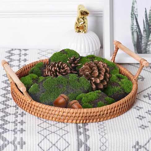 SNAIL GARDEN Moss Rock، 14 قطعة 4 أحجام من الأحجار المغطاة بالطحالب الخضراء، صخور الطحالب الاصطناعية، صخور الطحالب المزخرفة الرغوية، صخور الطحالب المزيفة المزخرفة لحفلات الزفاف، ديكور أوعية الزهور والحديقة، زهور مجففة DIY in Kuwait
