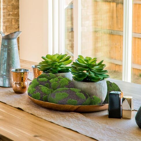 SNAIL GARDEN Moss Rock، 14 قطعة 4 أحجام من الأحجار المغطاة بالطحالب الخضراء، صخور الطحالب الاصطناعية، صخور الطحالب المزخرفة الرغوية، صخور الطحالب المزيفة المزخرفة لحفلات الزفاف، ديكور أوعية الزهور والحديقة، زهور مجففة DIY in Kuwait