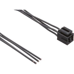 Motorcraft - Wire Assy (P) (WPT1014)
