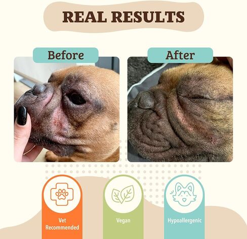 Natural Dog Company Wrinkle Balm, 2 oz. Stick, Dog Lotion for Dry Itchy Skin, Cleans Wrinkles, Yeast Infection Treatment for Dogs, Plant Based, Frenchie Dog Accessories, Made in USA in Kuwait