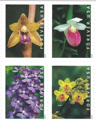 Wild Orchids (Booklet of 20) First-Class Mail Forever Postage Stamps 2020 Scott 5445-5454 in Saudi Arabia