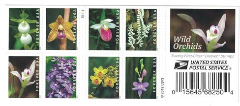 Wild Orchids (Booklet of 20) First-Class Mail Forever Postage Stamps 2020 Scott 5445-5454 in Saudi Arabia