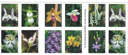 Wild Orchids (Booklet of 20) First-Class Mail Forever Postage Stamps 2020 Scott 5445-5454 in Saudi Arabia
