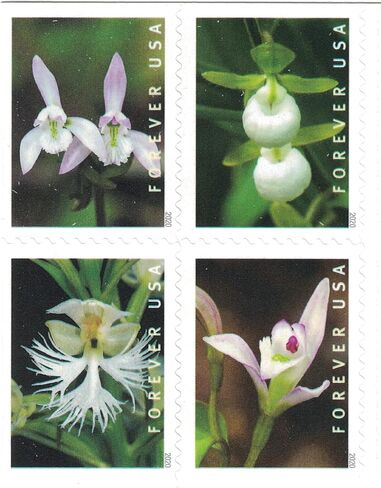Wild Orchids (Booklet of 20) First-Class Mail Forever Postage Stamps 2020 Scott 5445-5454 in Saudi Arabia