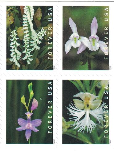 Wild Orchids (Booklet of 20) First-Class Mail Forever Postage Stamps 2020 Scott 5445-5454 in Saudi Arabia