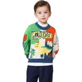 Little Bitty Toddler Sweater Cotton Long Sleeve Crewneck Dinosaur Thick Knit Sweater for Boys 2-8 Years