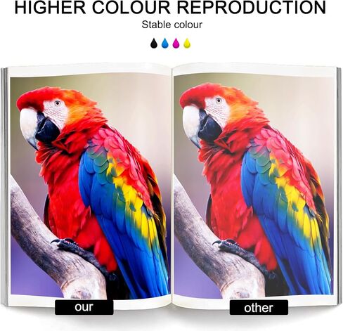 إعادة تعبئة حبر التسامي متوافقة مع القوى العاملة WF-2930 WF-2750 WF-7820 WF-3820 WF-2650 WF-3620 WF-2650 WF-3520 WF-7710 C88 Ecotank ET-2850 ET-2800 ET-2803 ET-4800 ET-3850 حبر الطابعة ET-15000 ET-8550 in Kuwait