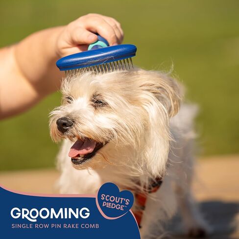 GROOMING TWO IN ONE PIN & BRISTLE BRU in Kuwait