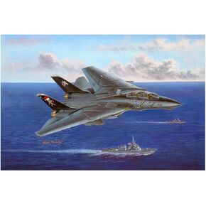 Hobby Boss HY80367 F-14B Tomcat Airplane Model Building Kit