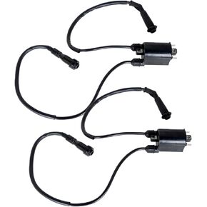2Pcs Ignition Coil & Spark Plug Cap 30510-MM8-003 Replacement for Honda Shadow VLX600 VLX 600 VT600C VT600CD 1988-2007 30701-MF5-000