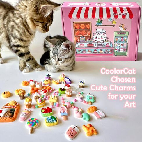 طلاء COOLORCAT قماش مرسوم مسبقًا لطيف Decoden 60+ مجموعة سحرية، 24 علامة أكريليك DlY لوازم فنية للفنون والحرف اليدوية للأطفال الذين تتراوح أعمارهم بين 6-12 عامًا هدية عيد ميلاد للفتيات والأولاد (حفلة عيد ميلاد) in Saudi Arabia