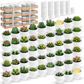 48 Pcs Succulent Cactus Tealight Candles Baby Shower Plant Candles Bridal Shower Cactus Candles Novelty Handmade Tealight Terrarium Plant Candles for Party Favor Fiesta Birthday Wedding Home Decor