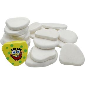 20PCS Painting Rocks, 2"-3" White Rocks for Painting,Smooth Rocks Bulk,Flat Natural Irregular DIY Painting Rock,Smooth Surface Arts and Crafting Painting Supplies