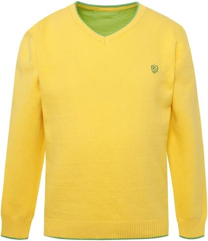 Boys' Long Sleeve V-Neck Sweater Kids Casual Knit Pullover in Saudi Arabia