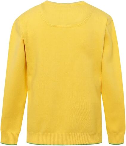 Boys' Long Sleeve V-Neck Sweater Kids Casual Knit Pullover in Saudi Arabia