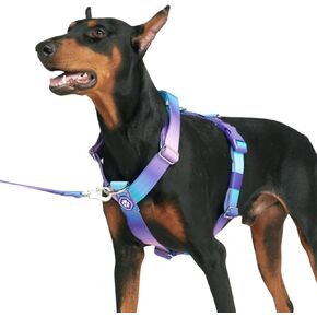 Spark Paws Large Dog No-Pull Harness, Halter Design with Front Clip, Durable and Heavy-Duty for Big and Strong Breeds - Kaleidoscope - M