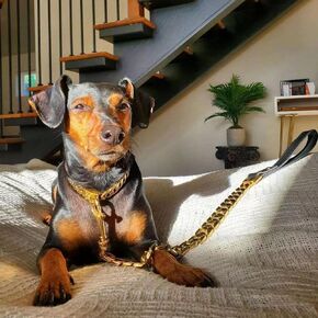 Gold Dog Leash Large Dogs Metal Chew Proof Dog Leash,32MM Heavy Duty Dog Chain Leash Stainless Steel with Genuine Leather Handle(3FT)