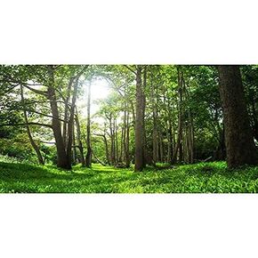 AWERT 72x18 inches Forest Terrarium Background Tropical Aquarium Background Green Tree Reptile Habitat Background Durable Polyester Background