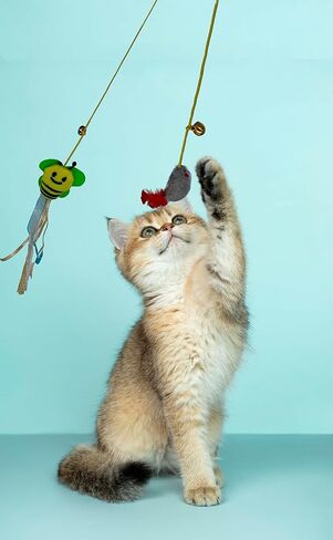 7 Packs Cat Toys Door Hanging cat Toy Cat Retractable Springs Cat Toy for Kitten Door Hanging Mouse Ball Kitty Toys for Exercise Hunting Chase in Kuwait