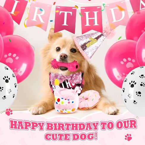 23 Pcs Dog Birthday Party Supplies Set Birthday Toys Cake Teething Squeak Interactive Decorations with Box for Puppy Small Medium Dog(Blue) in Saudi Arabia