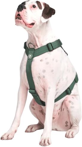 Spark Paws Large Dog No-Pull Harness, Halter Design with Front Clip, Durable and Heavy-Duty for Big and Strong Breeds - Kaleidoscope - M in Kuwait