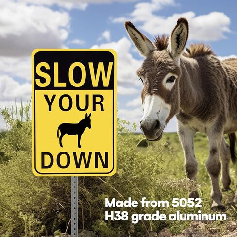 لافتة Bigtime Dog Slow Down - تحذير للحيوانات الأليفة - لافتة ألومنيوم عاكسة سهلة التحديد لسلامة الطريق - سهلة التركيب والبقع - مناسبة للممرات والساحات والطرق - مشاهدة الكلاب in Kuwait