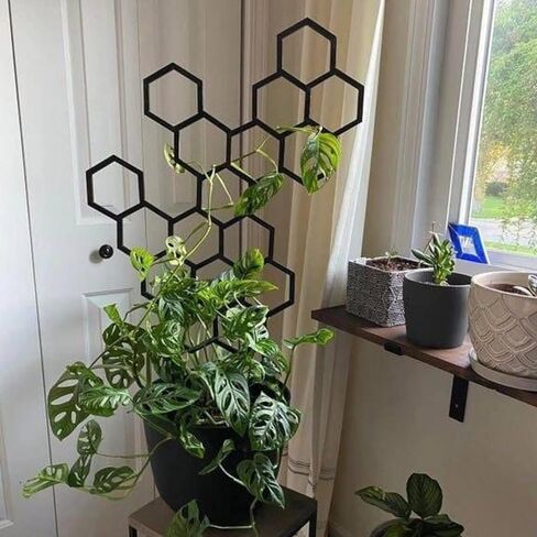 200PCS Black Wood Craft Sticks 6 Inch – 0.66" Width x 6" Length Black Craft Sticks for DIY Jumbo Popsicle Sticks for Crafts Wide Wax Sticks Flat Wooden Sticks for Waxing in Kuwait