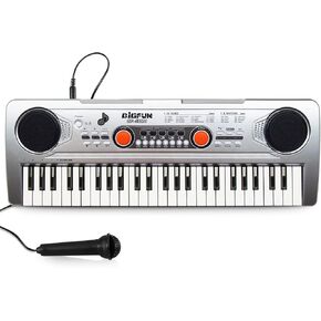 Raimy 49 Keys Piano Keyboard for Kids - Portable Electronic Digital Piano with Microphone, Learning Educational Music Keyboard Piano for Beginners Gifts Toys for Boys Girls Toddlers (Silver)