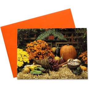 Thanksgiving Greeting Cards (Harvest Display), 5x7 Inches, 25 Cards & 26 Orange Envelopes (HT100)