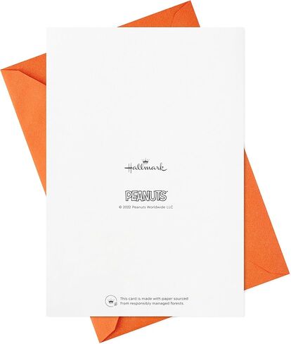 Hallmark Peanuts Thanksgiving Cards Assortment, Snoopy and Friends (16 Assorted Cards with Envelopes) in Saudi Arabia