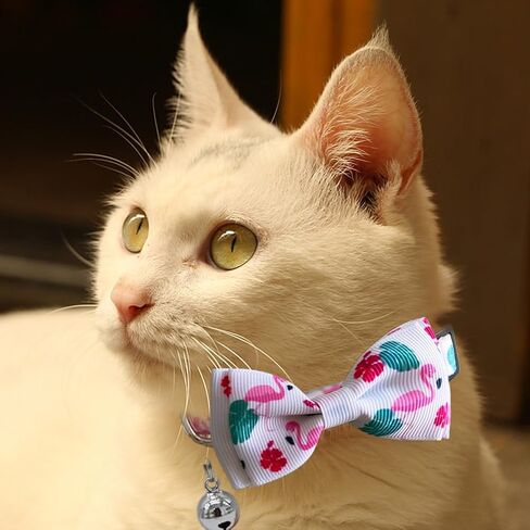 3 Pack Fall Cat Collar with Bow Kitten Bowtie Collar with Bell Autumn Breakaway Adjustable Collars in Kuwait