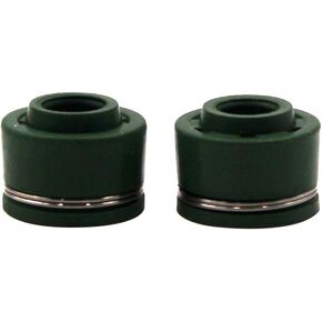 Road Passion Engine Intake & Exhaust Valve stem & Oil seal for Yamaha TT-R250 TTR250