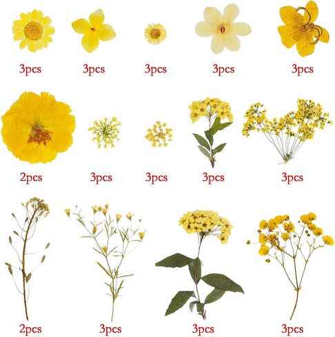 37pcs Natural Dried Flowers Mixed Multi-Color Pressed Flower Mini Rose Hydrangea Daisy for Art Craft DIY Resin Nail Art Floral Decors in Kuwait