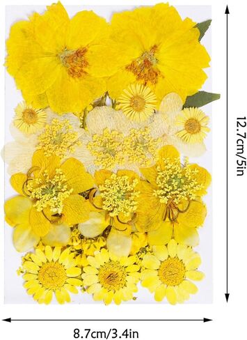 37pcs Natural Dried Flowers Mixed Multi-Color Pressed Flower Mini Rose Hydrangea Daisy for Art Craft DIY Resin Nail Art Floral Decors in Kuwait