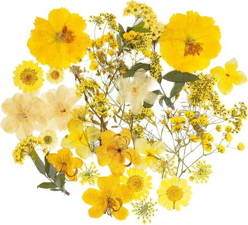 37pcs Natural Dried Flowers Mixed Multi-Color Pressed Flower Mini Rose Hydrangea Daisy for Art Craft DIY Resin Nail Art Floral Decors in Kuwait