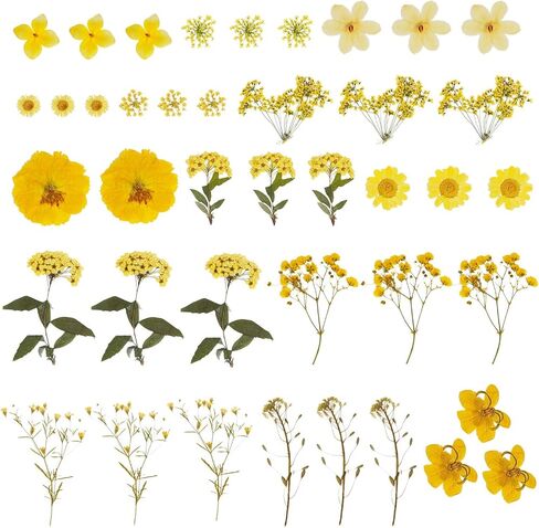 37pcs Natural Dried Flowers Mixed Multi-Color Pressed Flower Mini Rose Hydrangea Daisy for Art Craft DIY Resin Nail Art Floral Decors in Kuwait