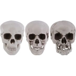 Tofficu Skulls Halloween Decor, Skull Props Haloween, 3pcs Halloween Plastic Skull Head, Halloween Skulls Heads, Realistic Skeleton Skull, Fake Skull, Skeleton Head Decoration, Halloween Decorations