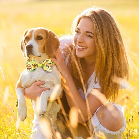 Eccliy 120 Pcs 4th of July Dog Bow Ties Collars for Dogs Patriotic Dog Collars Independence Day Dog Bow Tie Collar Adjustable Dog Accessories for Dogs Cute Dog Bow Tie Dog Collar Basic Dog Collars in Kuwait