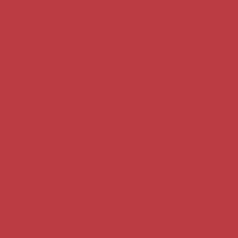 Rit Dye ProLine 1 LB Powder Dye (Black) in Saudi Arabia