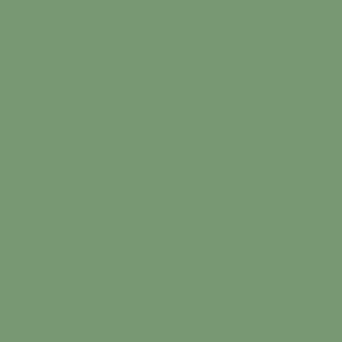 Rit Dye ProLine 1 LB Powder Dye (Black) in Saudi Arabia