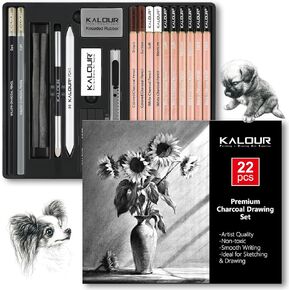 مجموعة رسم الفحم من KALOUR PDAS مكونة من 22 قطعة، لوازم فنية احترافية، أقلام رصاص فحمية باللونين الأبيض والأسود للرسم والرسم والتظليل والمزج وأقلام الرصاص للفنانين للمبتدئين والفنانين المحترفين