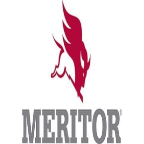 Meritor Genuine King Pin Kit - R201482