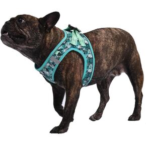 AMTOR Dog Harness with Leash Set,No Pull Adjustable Reflective Puppy Harness with Padded Vest for Extra-Small/Small Medium Large Dogs and Cats(Green Bamboo,s)