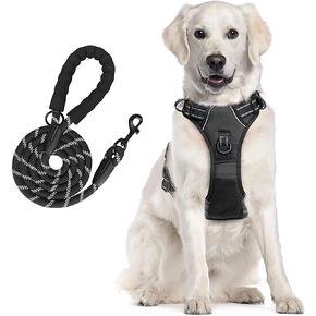 Dog Harness + Leash, No-Pull Pet Harness with 2 Leash Clips, Adjustable Soft Padded Dog Vest, Reflective No-Choke Pet Oxford Vest with Easy Control Handle for Small and Medium Dogs (Lime, M)