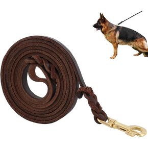 Premier Braided Leather Dog Leash 6/8/10 ft for Strong Medium Large Dogs, Leather Heavy Duty Training Leash (10FT)