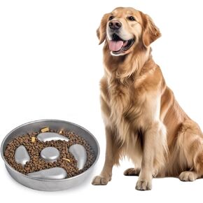 Slow Feeder Dog Bowl Stainless Steel, 2 Cups Metal Dog Food Bowls Anti-Slip, Dog Water Bowl for Small & Medium Sized Dogs, Fun Bloat Stop Pet Bowl for Fast Eaters, Slows Down Pets Eating