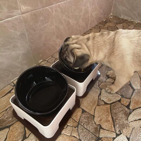 Ceramic Bulldog Bowl Dog Feeding Bowl - Dog Dish Wide Mouth Pet Sterile Tilted Pet Feeder with Anti-Skid Rubber Mat for Small Medium Dogs (Black) in Saudi Arabia