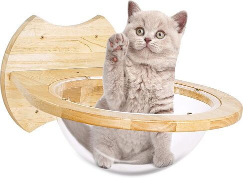 أثاث مثبت على الحائط للقطط، أرجوحة خشبية حديثة ممتازة من الأكريليك على شكل قبة أرفف ومجاثم للجدار، بوزن يصل إلى 33 رطلًا in Kuwait