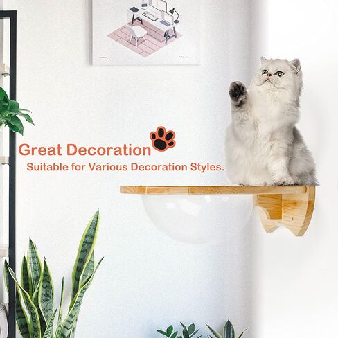 أثاث مثبت على الحائط للقطط، أرجوحة خشبية حديثة ممتازة من الأكريليك على شكل قبة أرفف ومجاثم للجدار، بوزن يصل إلى 33 رطلًا in Kuwait