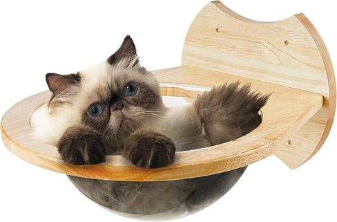 أثاث مثبت على الحائط للقطط، أرجوحة خشبية حديثة ممتازة من الأكريليك على شكل قبة أرفف ومجاثم للجدار، بوزن يصل إلى 33 رطلًا in Kuwait